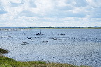 image/_roskilde_fjord-8994.jpg