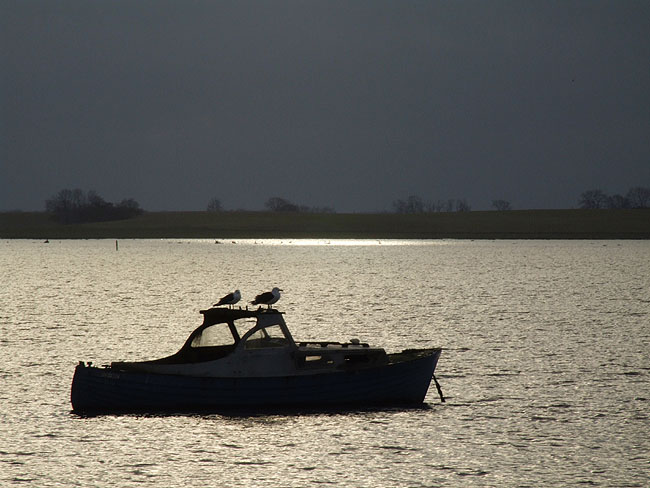 image/roskilde_fjord-117.jpg