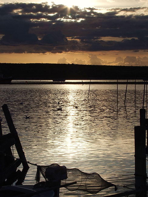 image/roskilde_fjord-141.jpg