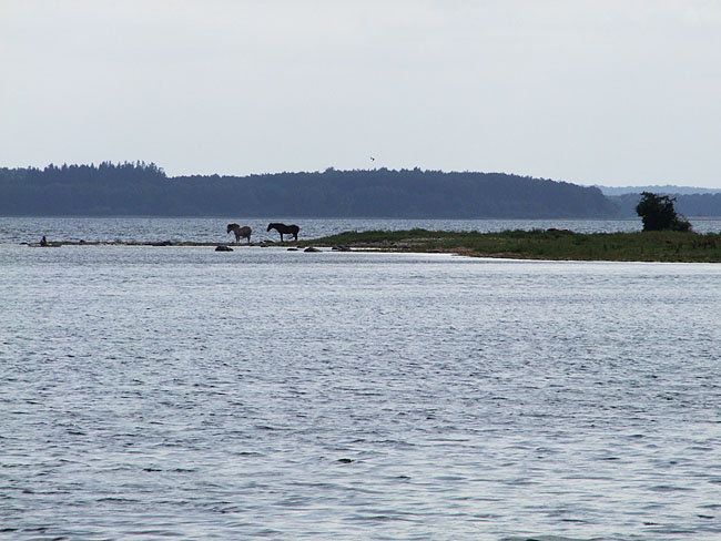 image/roskilde_fjord-148.jpg