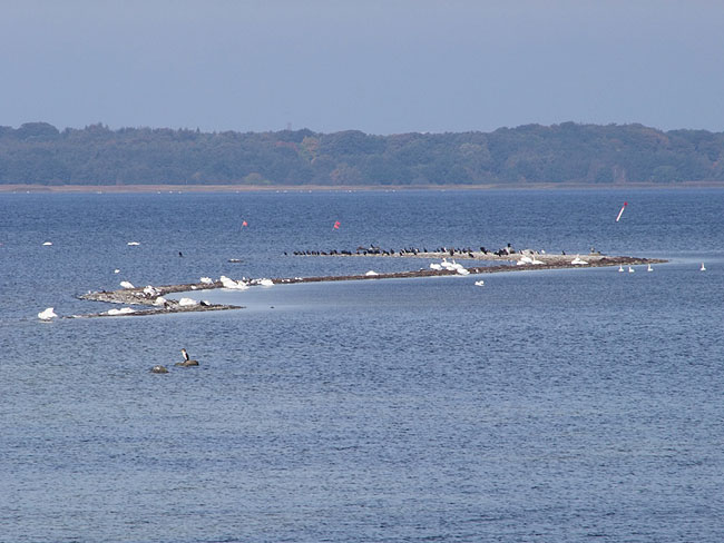 image/roskilde_fjord-156.jpg