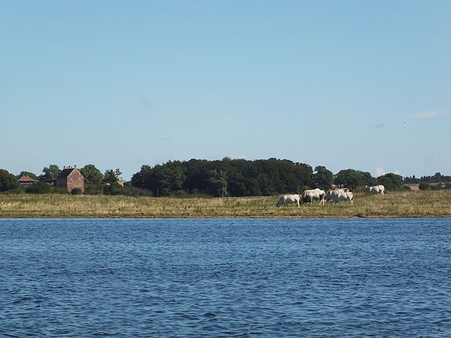 image/roskilde_fjord-1619.jpg