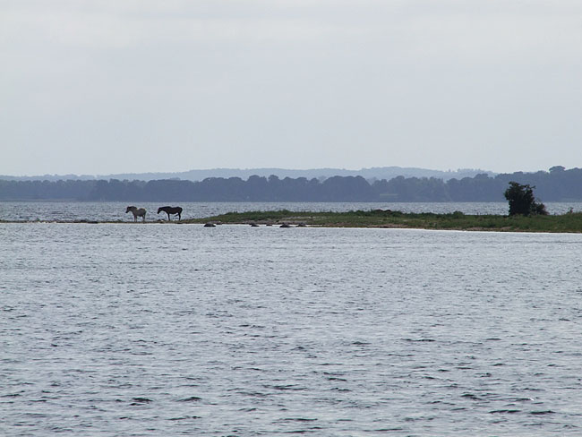 image/roskilde_fjord-162.jpg