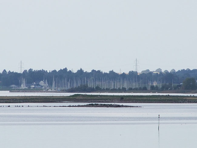 image/roskilde_fjord-163.jpg