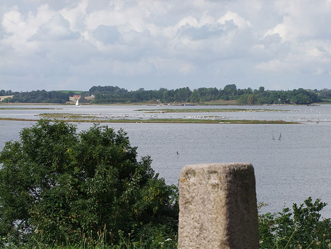 image/roskilde_fjord-166.jpg