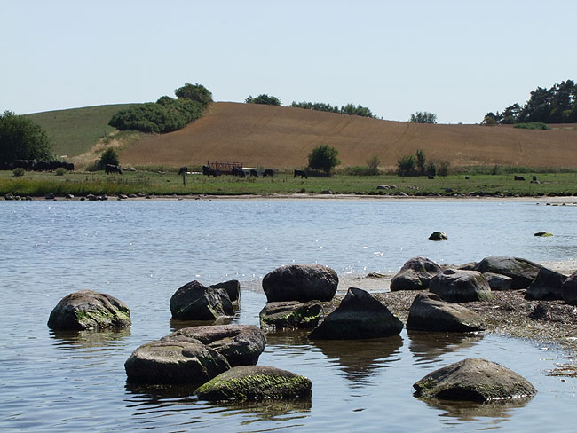 image/roskilde_fjord-168.jpg