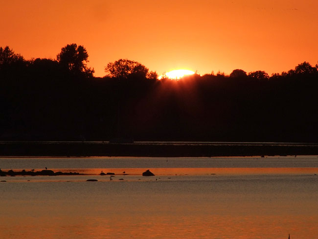 image/roskilde_fjord-178.jpg