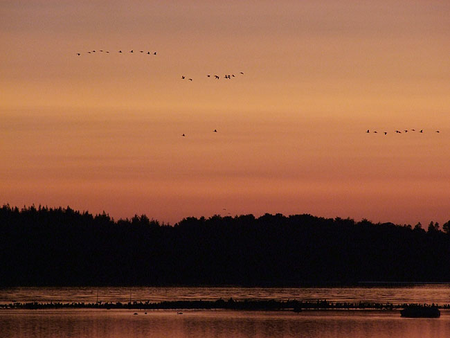 image/roskilde_fjord-179.jpg