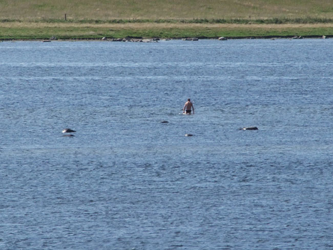 image/roskilde_fjord-186.jpg