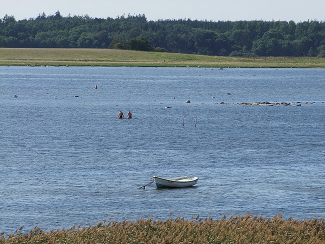 image/roskilde_fjord-188.jpg