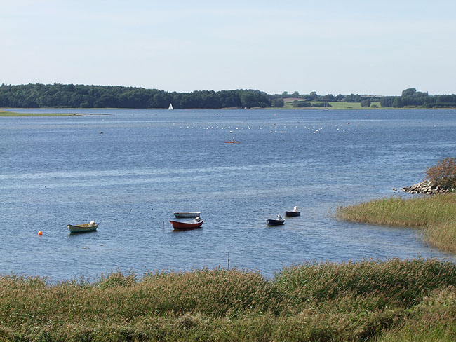 image/roskilde_fjord-189.jpg