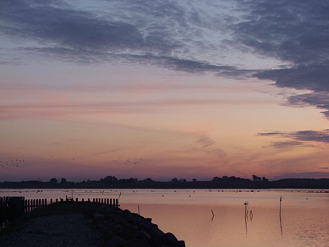 image/roskilde_fjord-221.jpg