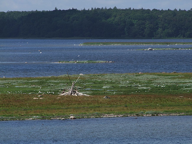 image/roskilde_fjord-2232.jpg