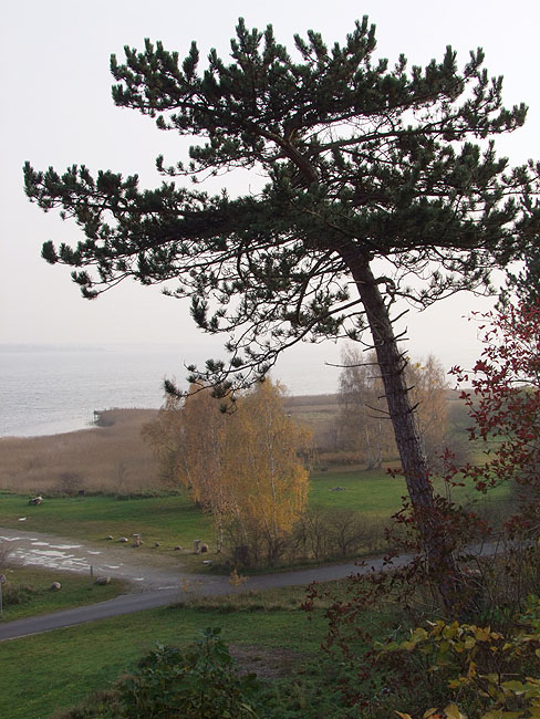 image/roskilde_fjord-237.jpg