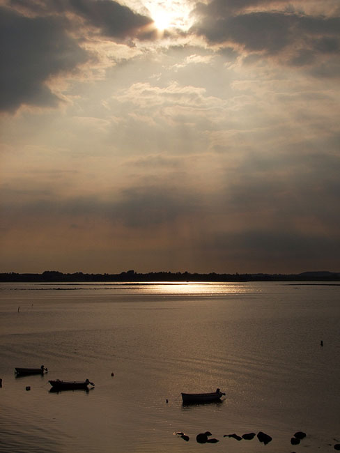 image/roskilde_fjord-289.jpg