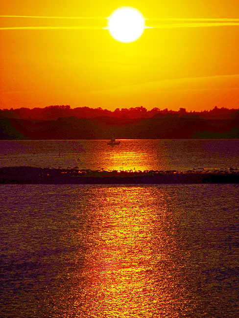 image/roskilde_fjord-317.jpg
