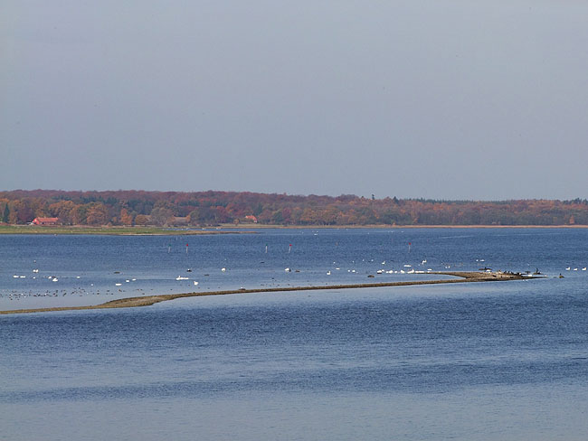 image/roskilde_fjord-358.jpg