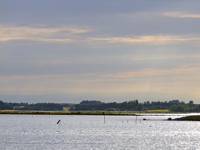 image/roskilde_fjord-361.jpg