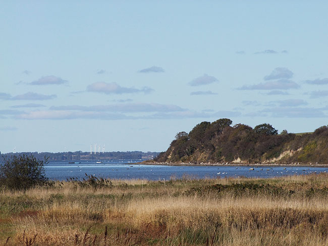 image/roskilde_fjord-438.jpg
