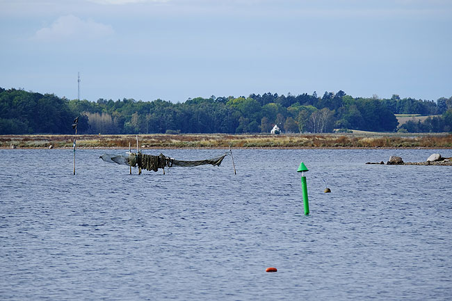 image/roskilde_fjord-4389.jpg