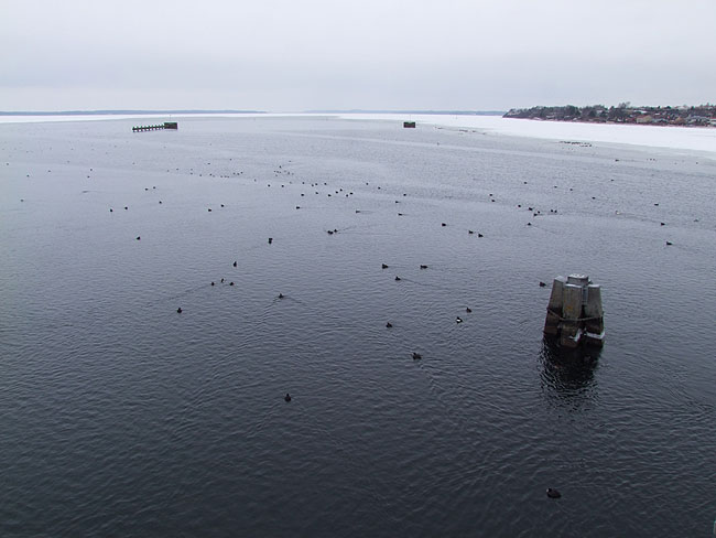 image/roskilde_fjord-442.jpg