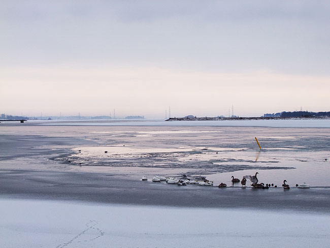 image/roskilde_fjord-445.jpg