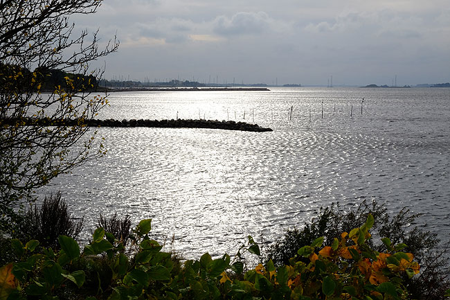 image/roskilde_fjord-4480.jpg