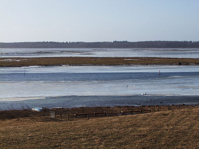 image/roskilde_fjord-450.jpg