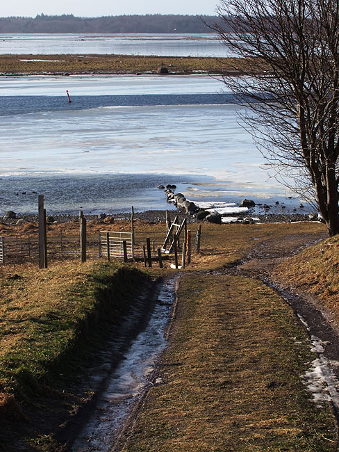 image/roskilde_fjord-452.jpg