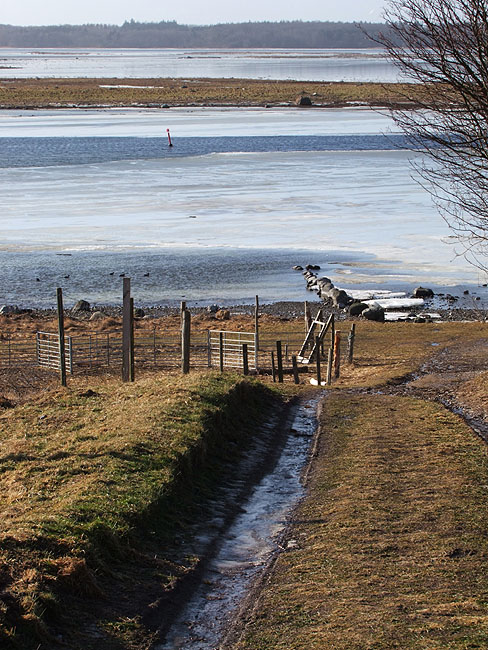 image/roskilde_fjord-453.jpg