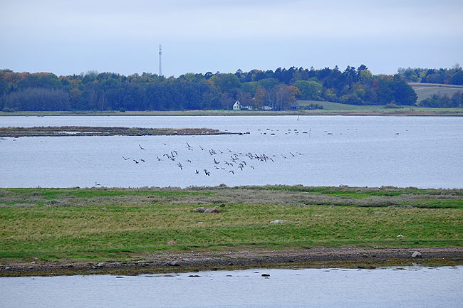 image/roskilde_fjord-4591.jpg
