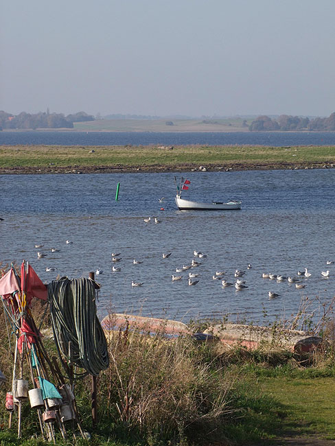 image/roskilde_fjord-464.jpg