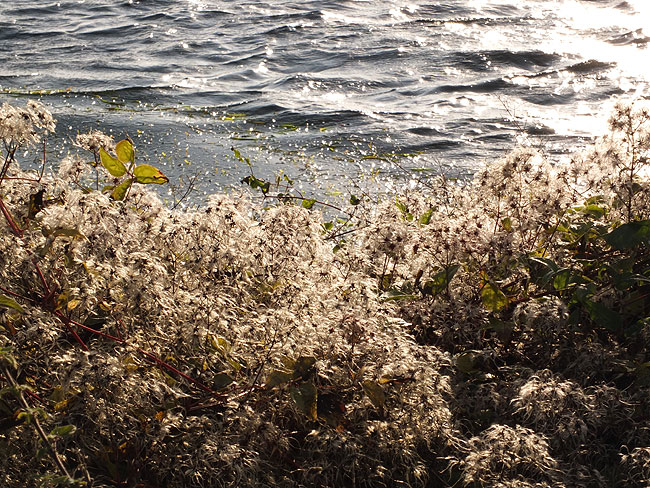 image/roskilde_fjord-5091.jpg
