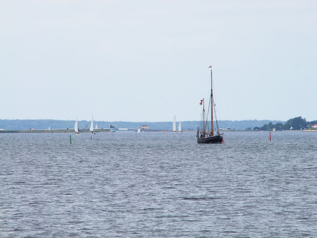 image/roskilde_fjord-515.jpg