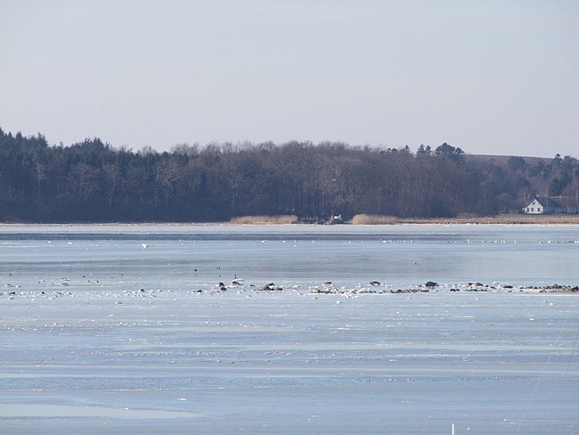 image/roskilde_fjord-542.jpg