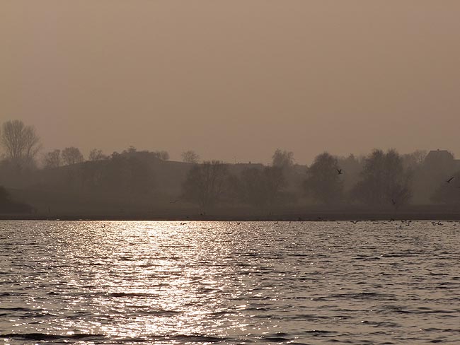 image/roskilde_fjord-551.jpg