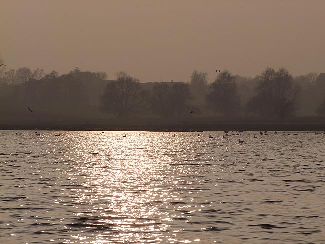image/roskilde_fjord-552.jpg