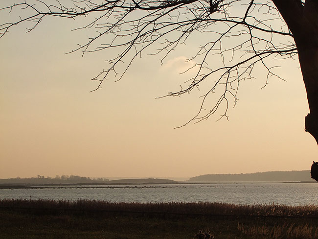 image/roskilde_fjord-555.jpg