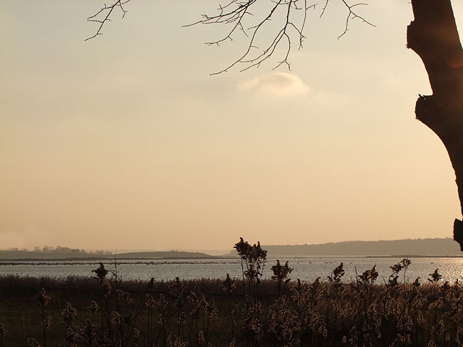image/roskilde_fjord-556.jpg