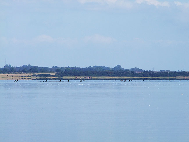 image/roskilde_fjord-615.jpg
