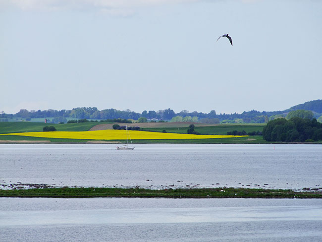 image/roskilde_fjord-624.jpg