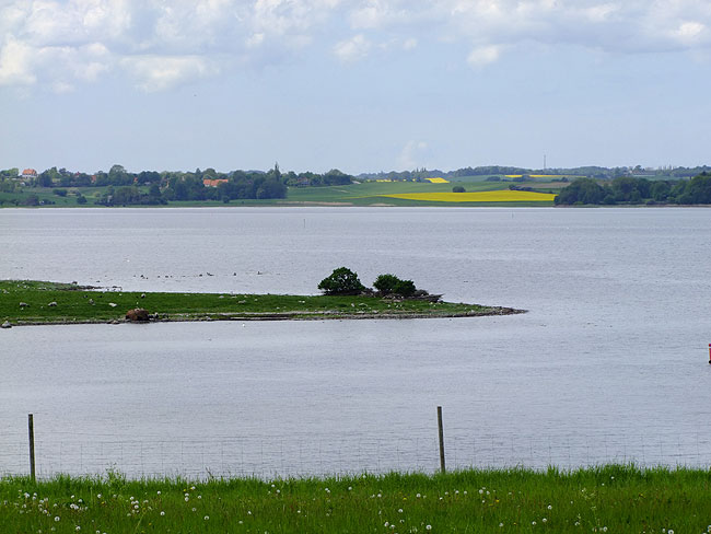 image/roskilde_fjord-626.jpg