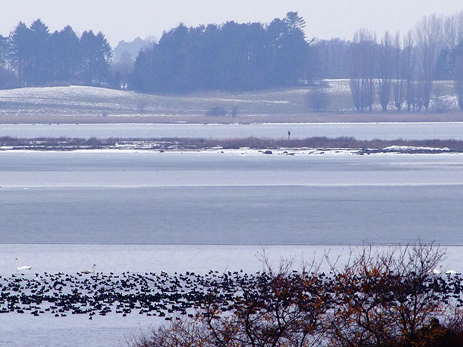 image/roskilde_fjord-630.jpg