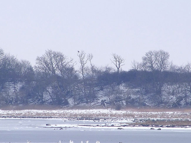 image/roskilde_fjord-635.jpg