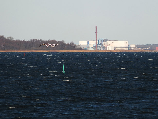 image/roskilde_fjord-7437.jpg