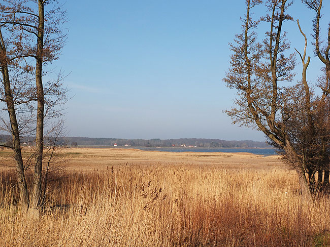 image/roskilde_fjord-744.jpg