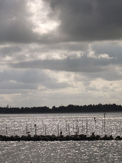 image/roskilde_fjord-783.jpg