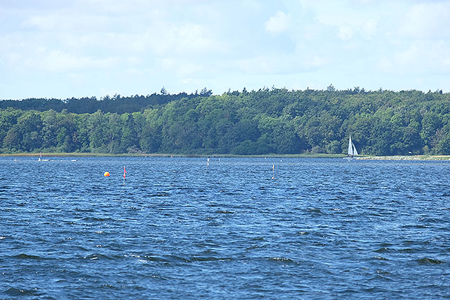 image/roskilde_fjord-8991.jpg