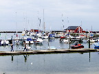 image/_ballen_havn-443.jpg