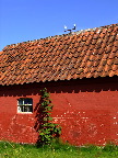 image/_roedt_udhus-335.jpg